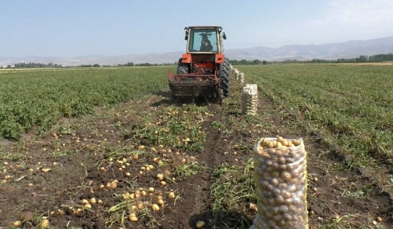 Պարարտանյութերի ձեռքբերման աջակցության ծրագիրն ընթանում է բնականոն հունով. էկոնոմիկայի նախարարություն