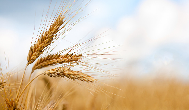 Ukraine exports over 3 mln tonnes of grain since start of 2022-2023 marketing year: ministry