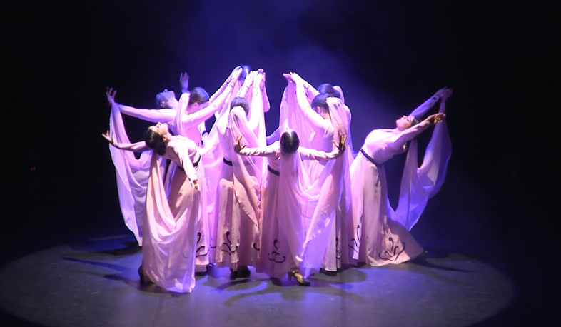 Armenian folk dance ensemble Ararat on French stages for 14 years