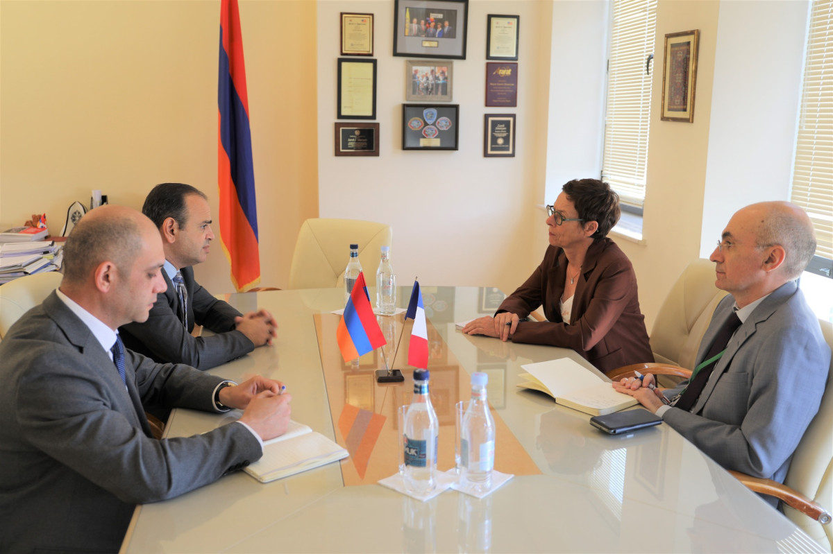 Զարեհ Սինանյանը և Անն Լույոն քննարկել են առաջիկայում կայանալիք համաշխարհային հայկական գագաթնաժողովին առնչվող հարցեր