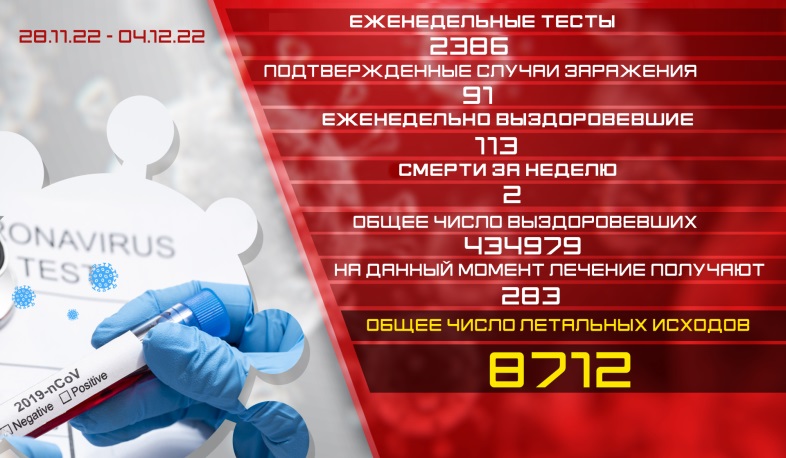 Обновление: 28.11. - 04.12. Подтвержденное число случаев заболевания коронавирусом - 91, число вылечившихся - 113