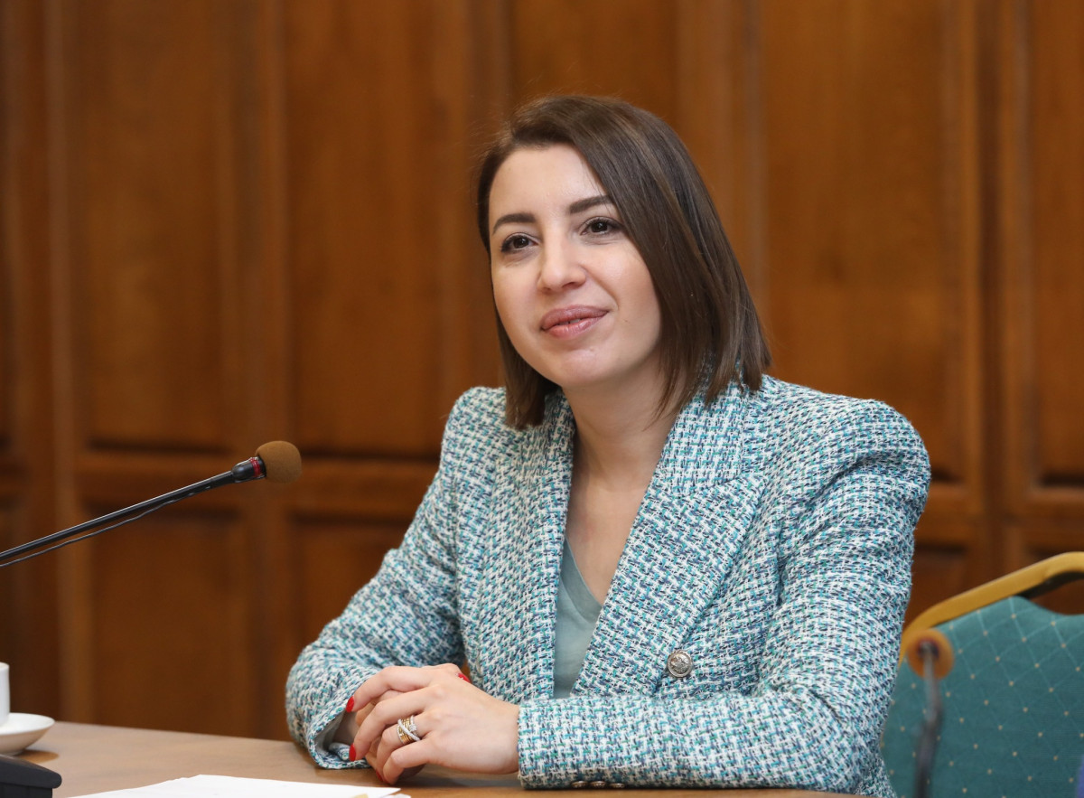 Statement of Human Rights Defender of Armenia on Human Rights Day