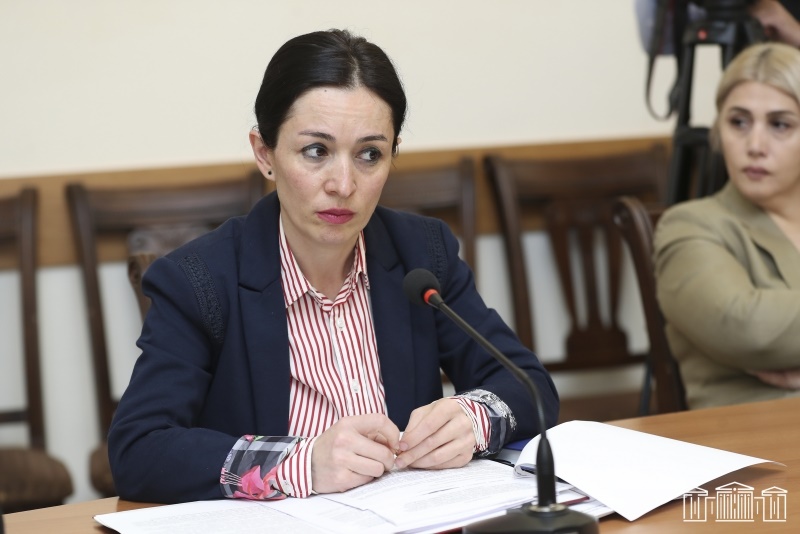 Ստեղծում ենք օրենսդրական հիմքեր՝ գիտության ոլորտի հետագա բարեփոխումների համար. Ժաննա Անդրեասյան