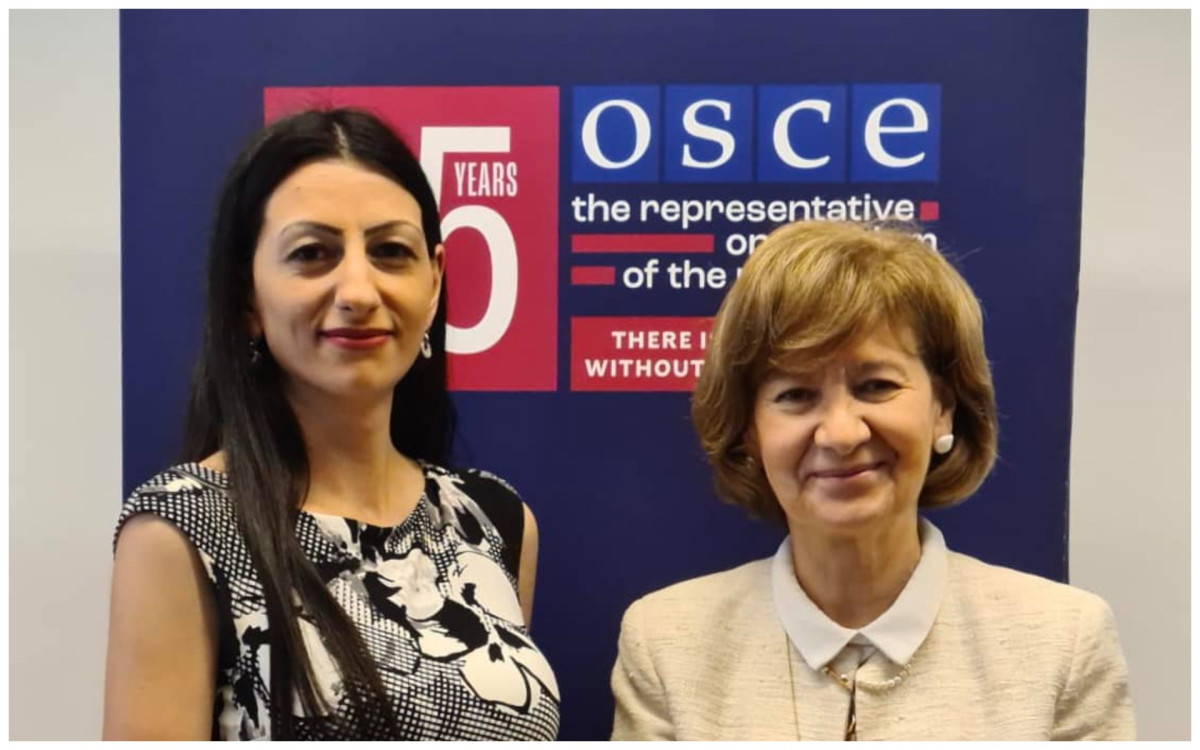 ՄԻՊ-ը ԵԱՀԿ ներկայացուցչի հետ անդրադարձել է Ադրբեջանի հայատյաց քաղաքականությանը