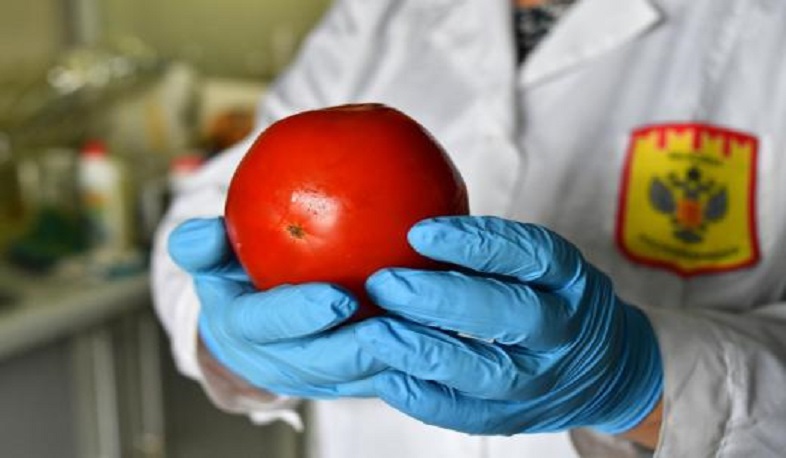 Rosselkhoznadzor banned import of more than 47 tons of tomatoes and 14 tons of strawberries from Azerbaijan to Russia
