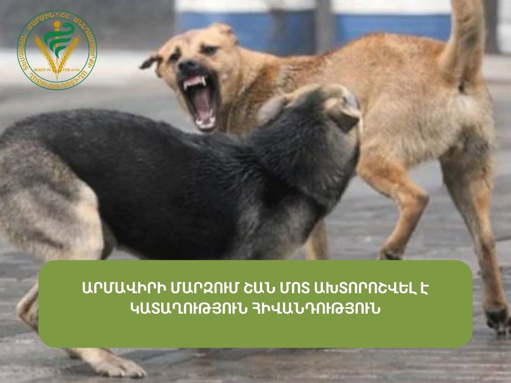 Արմավիրում արձանագրվել է շան կատաղություն հիվանդության դեպք