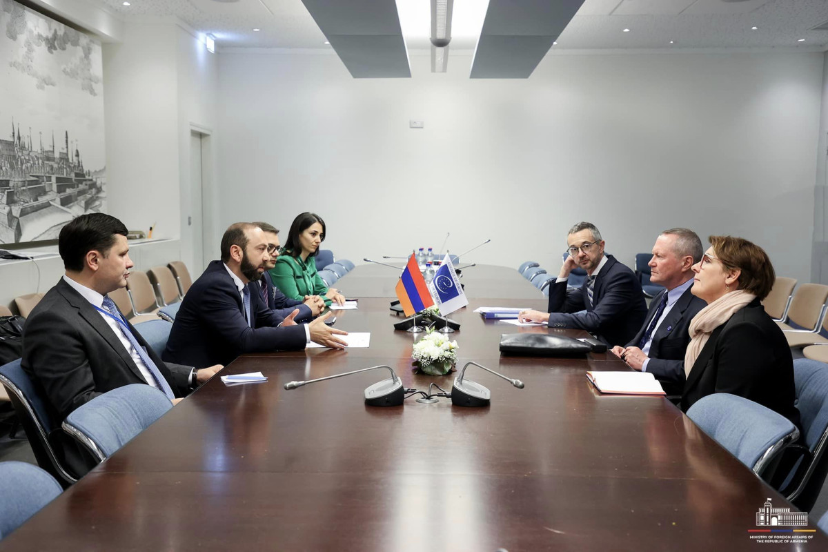 ԱԳ նախարարը ԵԽ հանձնակատարին է ներկայացրել ՀՀ կառավարության ջանքերը ԼՂ-ից բռնի տեղահանվածների կարիքների հասցեագրման ուղղությամբ