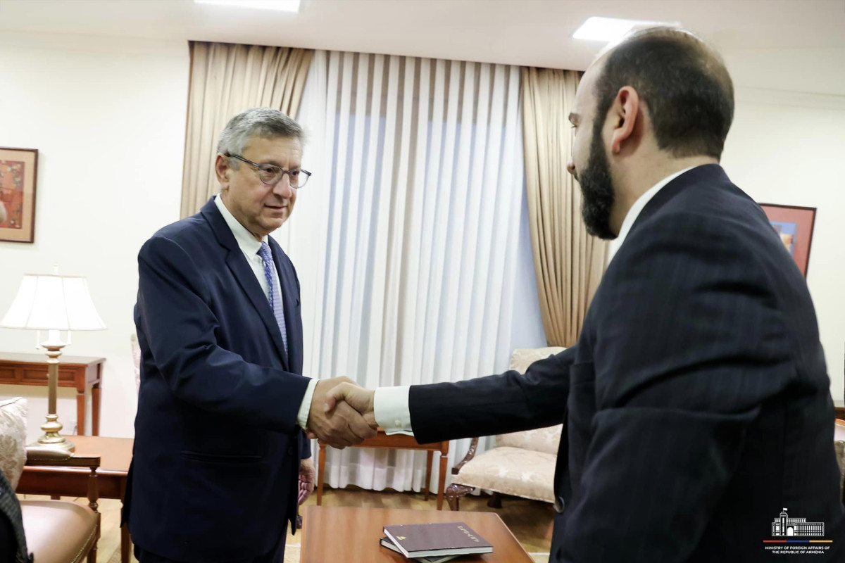 Mirzoyan and leadership of Armenian Assembly of America exchanged ideas on Armenia-US political dialogue and regional issues