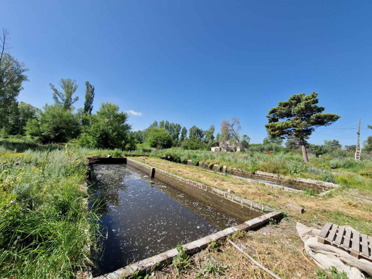 Ապօրինի ջրօգտագործմամբ ձկնաբուծություն Գեղարքունիքում