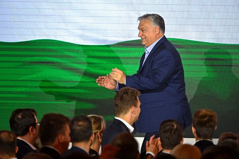 Orban's alliance did not accept German AfD in European Parliament: Reuters