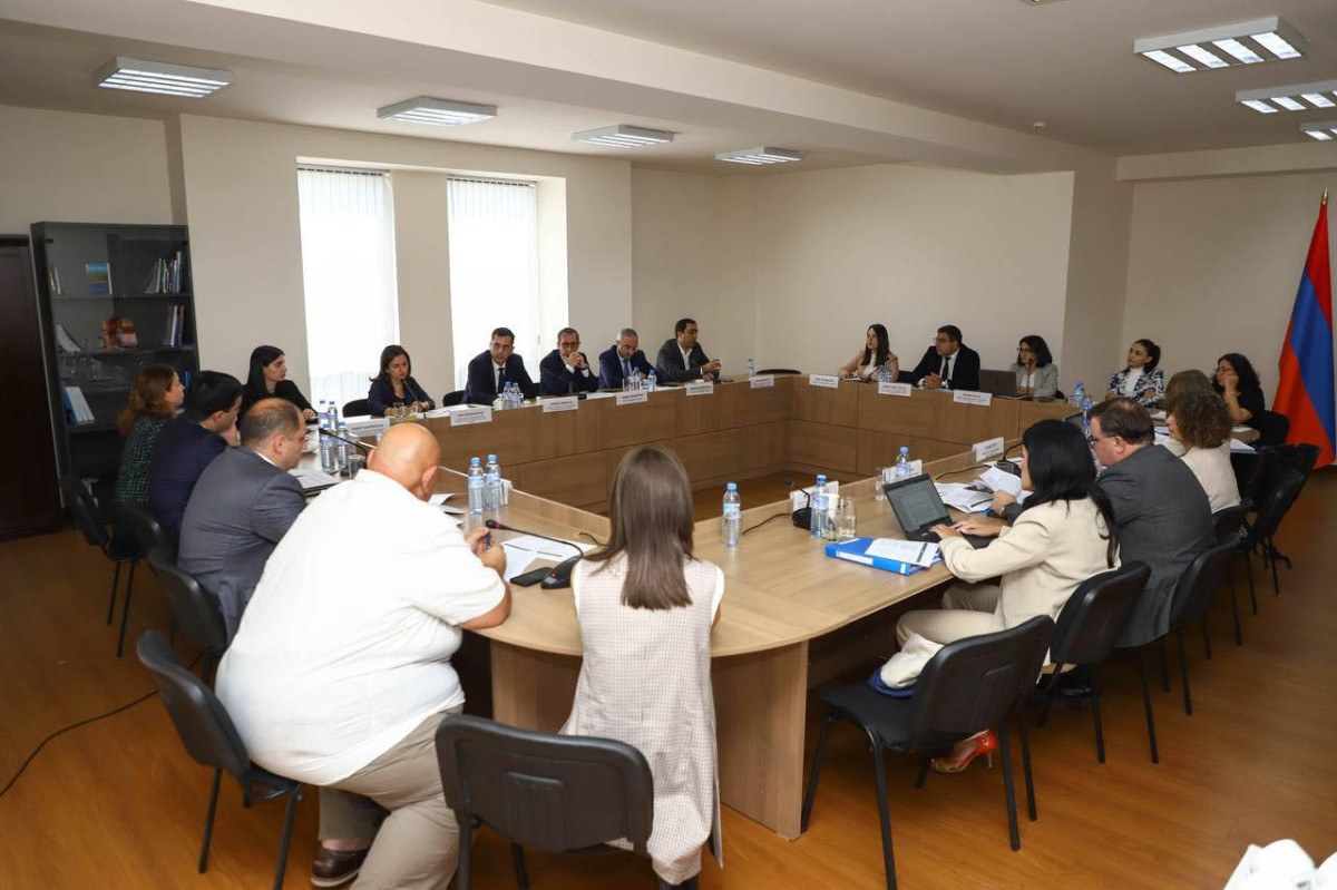 ՄԻԵԴ վճիռների կատարման ընթացքն ու ձեռնարկվող միջոցները քննարկվել են ԵԽ պատվիրակության հետ
