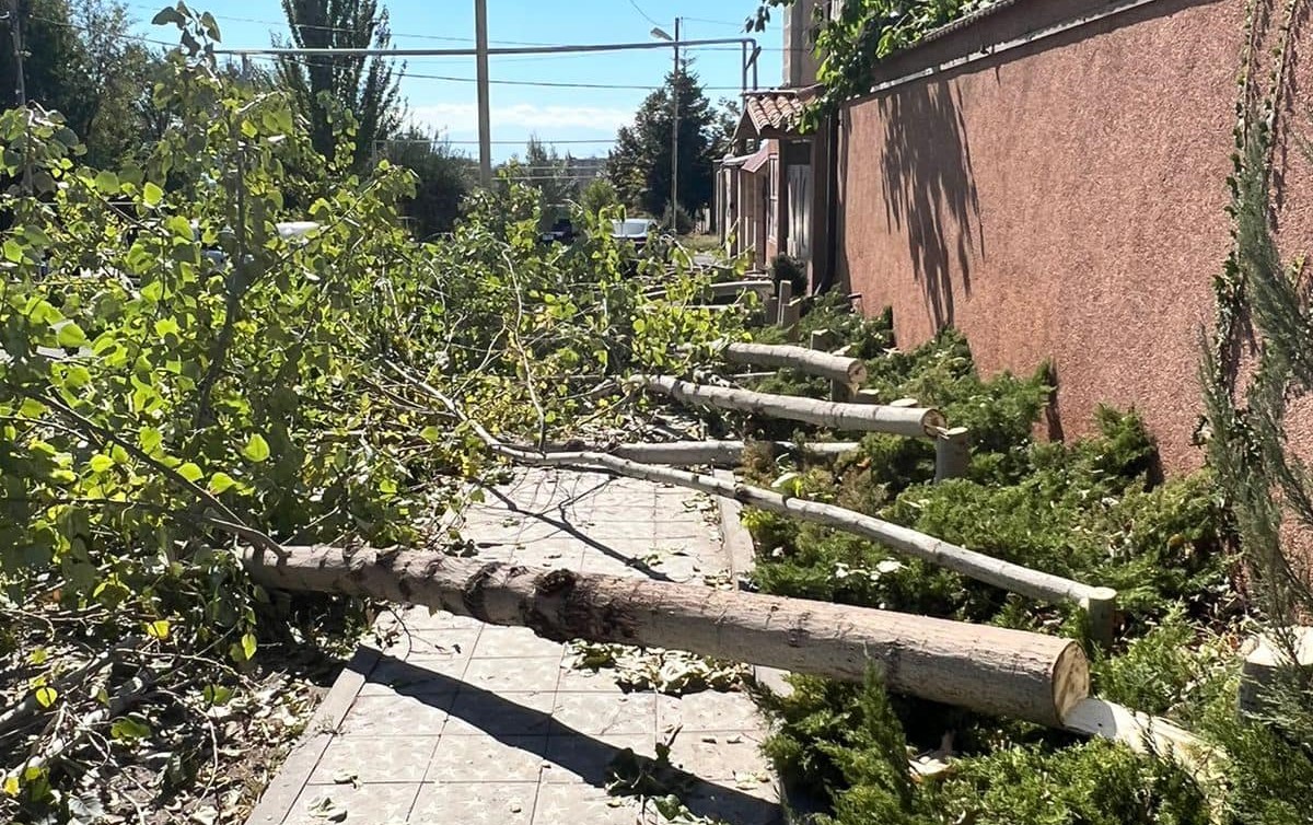 Դավթաշենում դեռևս անհայտ հանգամանքներում քաղաքացին հատել է 45 բարդի. Հայկ Կոստանյան
