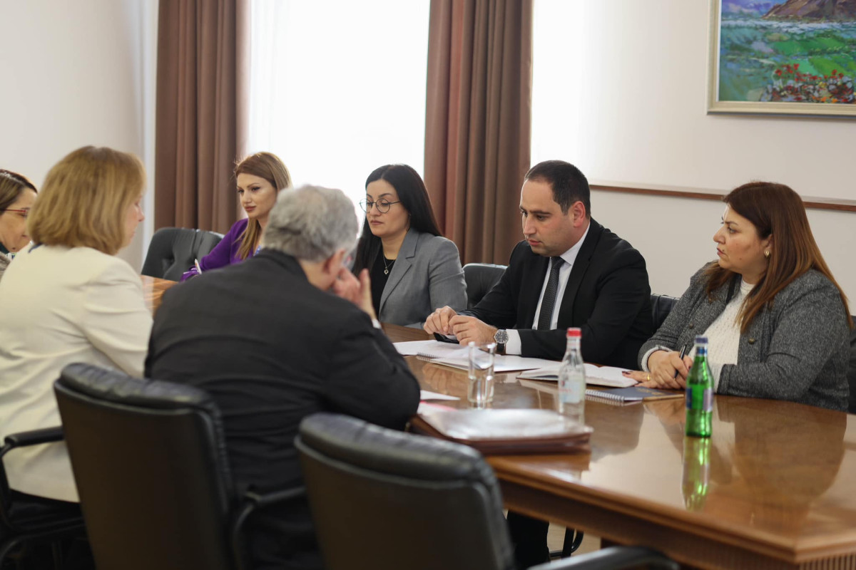 ՏԿԵ նախարարն ու Քրիստինա Քվինը քննարկել են դեպի ԱՄՆ ուղիղ չվերթեր սկսելու հնարավորությունը