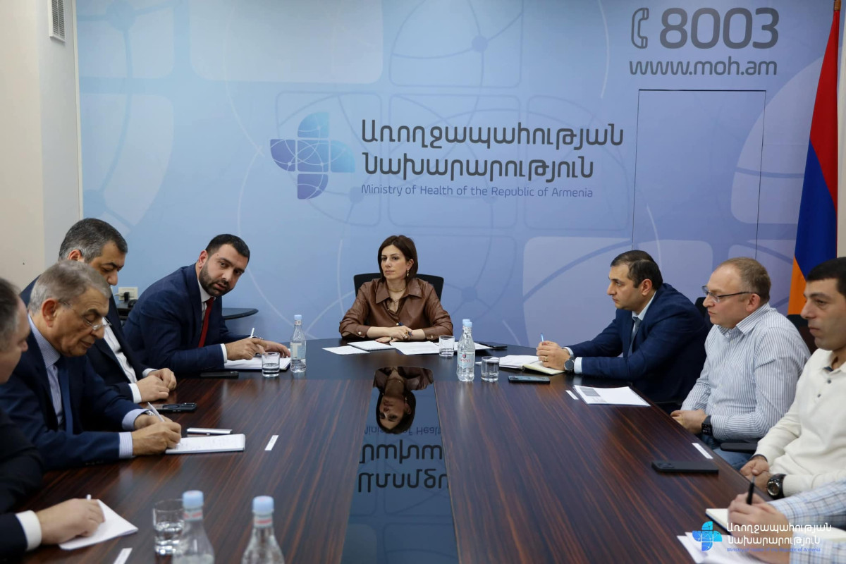 Անահիտ Ավանեսյանի գլխավորությամբ քննարկվել են էլեկտրոնային առողջապահության գործարկման ընթացքում առաջացող հարցերը