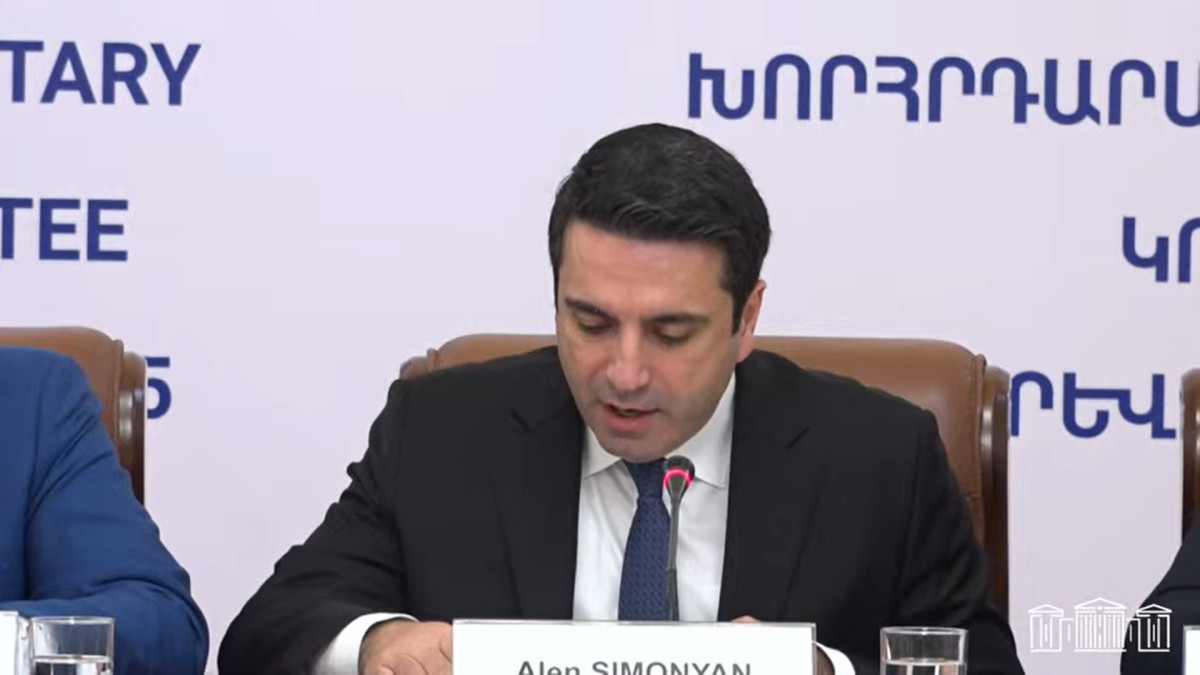 Ցավոք, ԵԽ պատգամավորների արձագանքները բավարար չեղան, և միջազգային մարդասիրական իրավունքը ԼՂ-ում պարտվեց. ՀՀ ԱԺ նախագահ