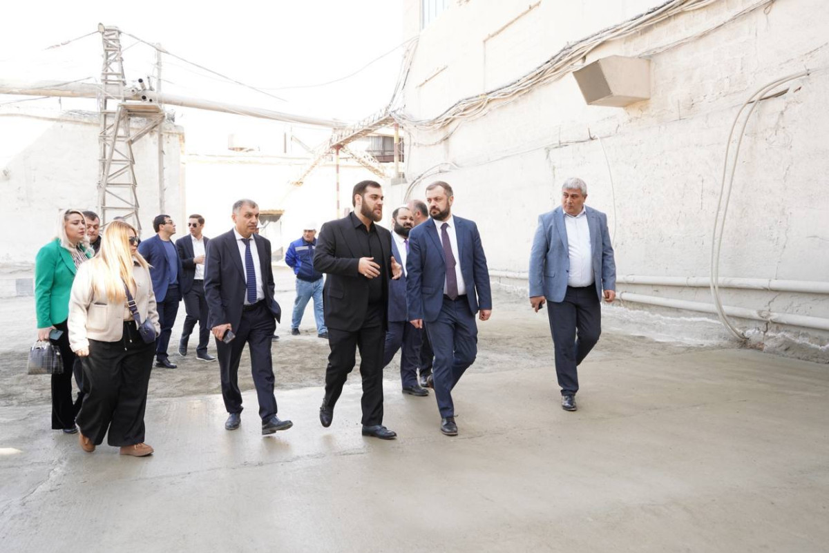 Էկոնոմիկայի նախարարն այցելել է «Շինցեմենտ» ՍՊԸ, ծանոթացել ներդրված ժամանակակից սարքավորումներին