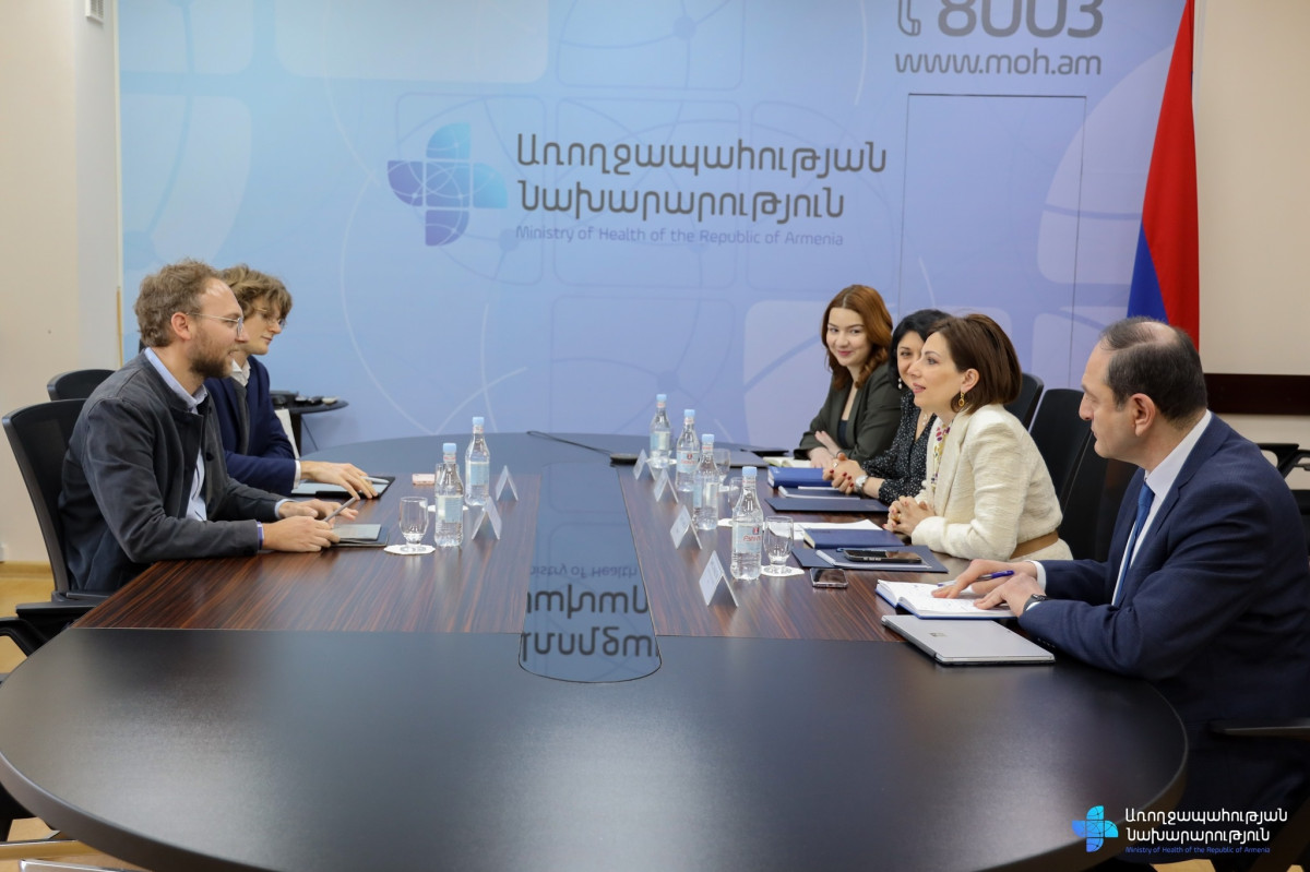 Եթե սկսենք 2026-ի հունվարի 1-ից՝ երեք տարում կհասնենք մինչև 80 տոկոս ապահովագրական ծածկույթի. Ավանեսյան