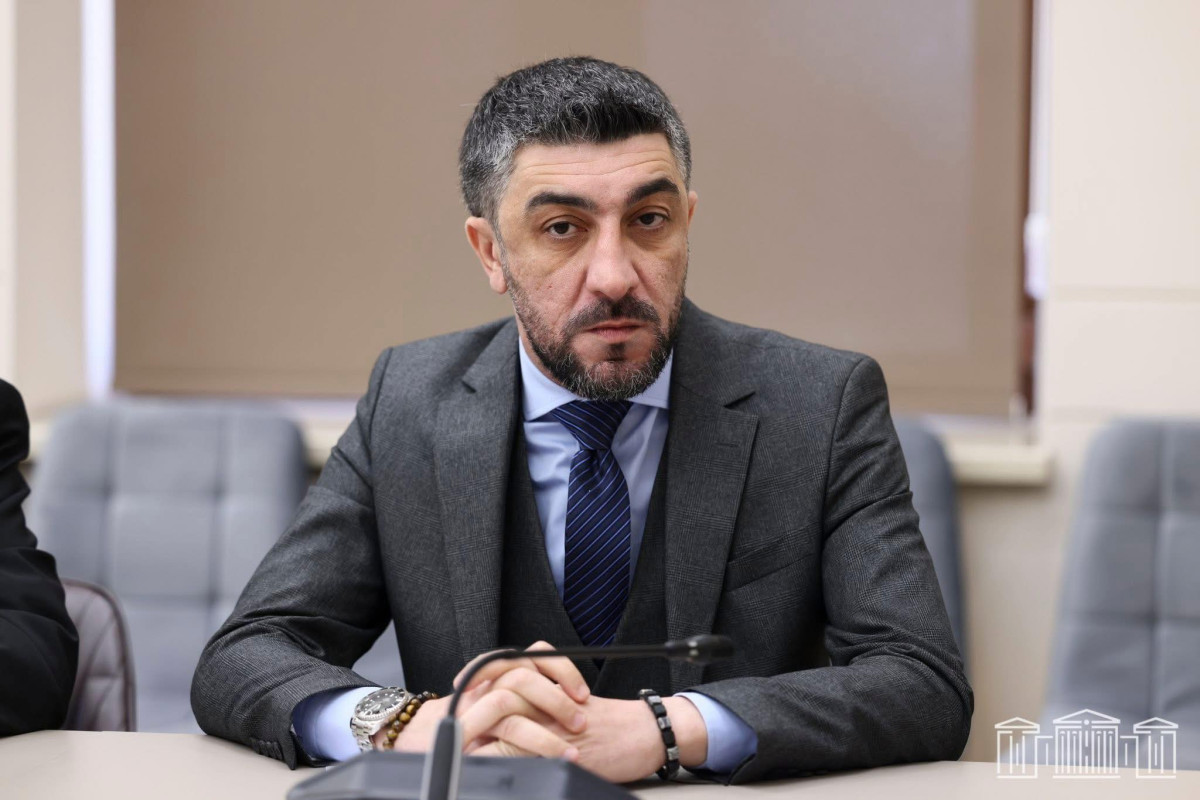 Վիլեն Գաբրիելյանը վայր է դնում մանդատը