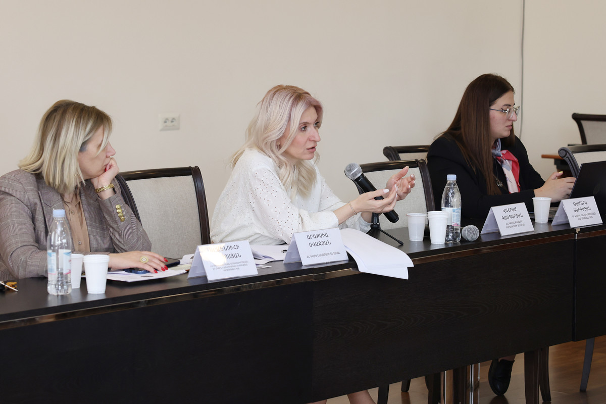 Կրթության ոլորտում մասնագիտական զարգացման և խրախուսման ծրագրերը կշարունակվեն. միջնաժամկետ ծախսային ծրագրի քննարկում