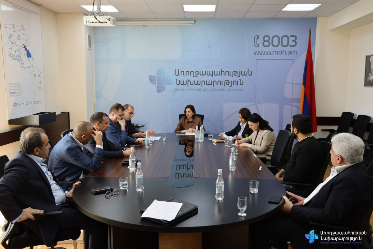 Անահիտ Ավանեսյանը դեղ ներմուծող ընկերությունների ներկայացուցիչների հետ քննարկել է դեղերի գրանցման և ներմուծման հետ կապված խնդիրները