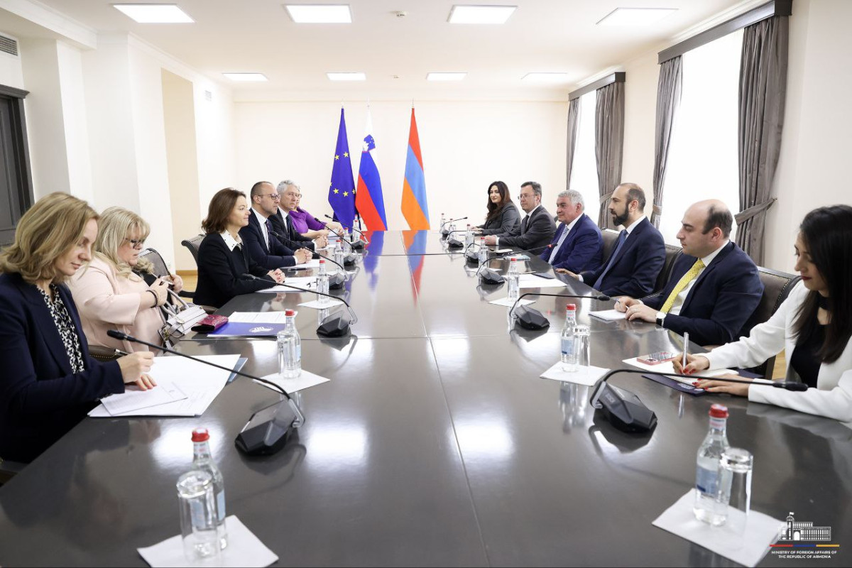 Ընթանում է Միրզոյանի և Սլովենիայի  ԱԳ նախարարի ընդլայնված կազմով հանդիպումը