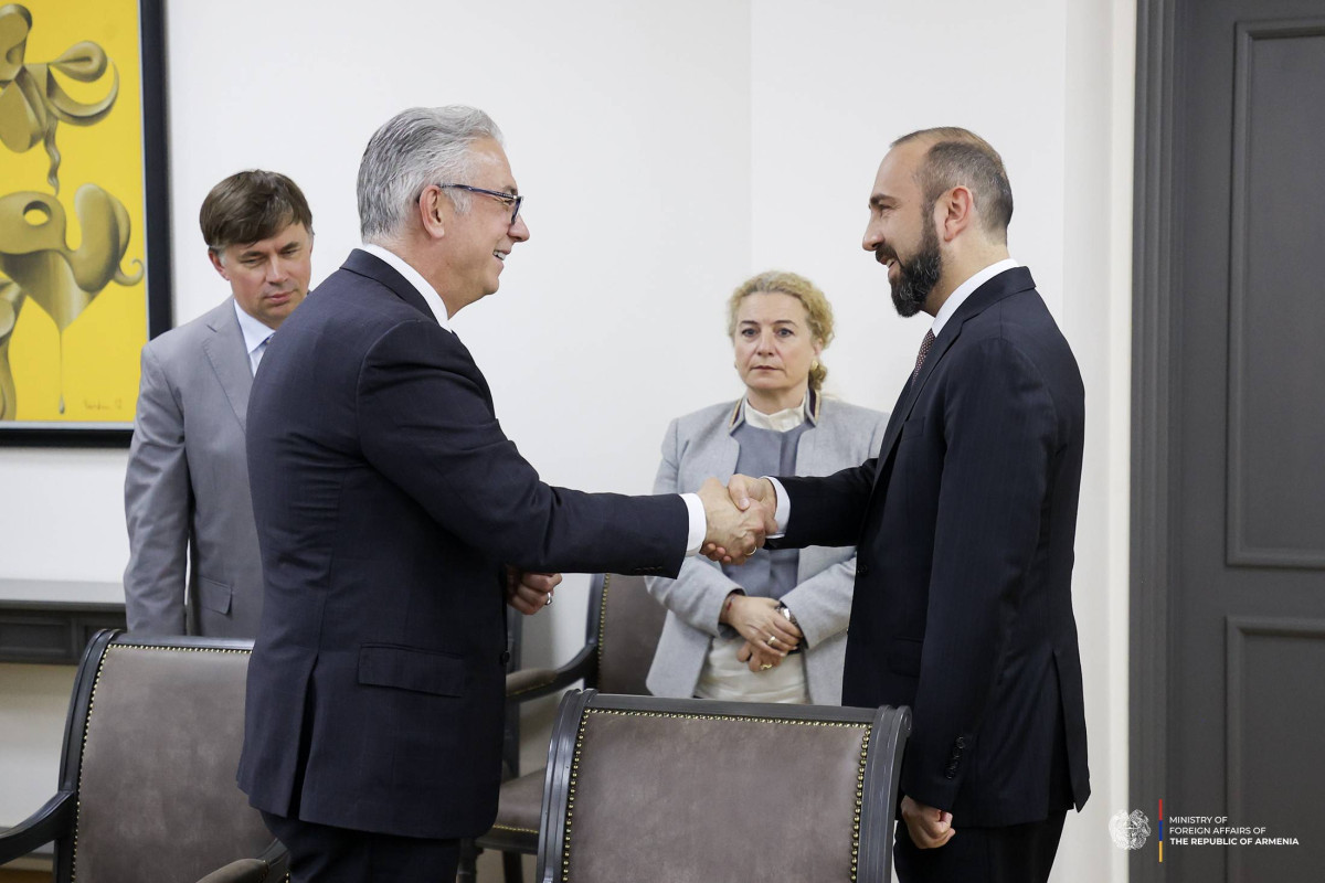 Armenia's Foreign Minister and PACE President exchanged views on regional and international issues