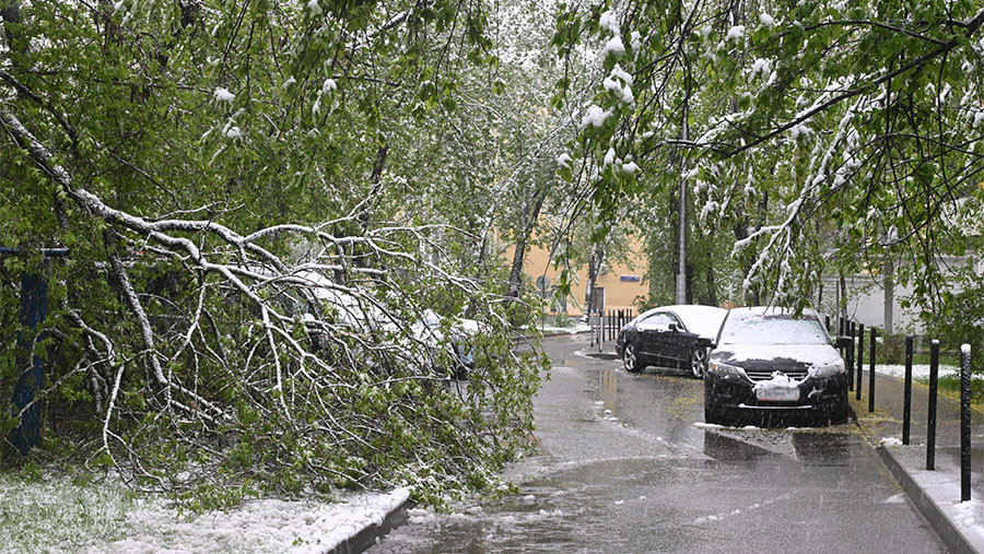 Snow in Moscow as unseasonably cold weather grips the Russian capital