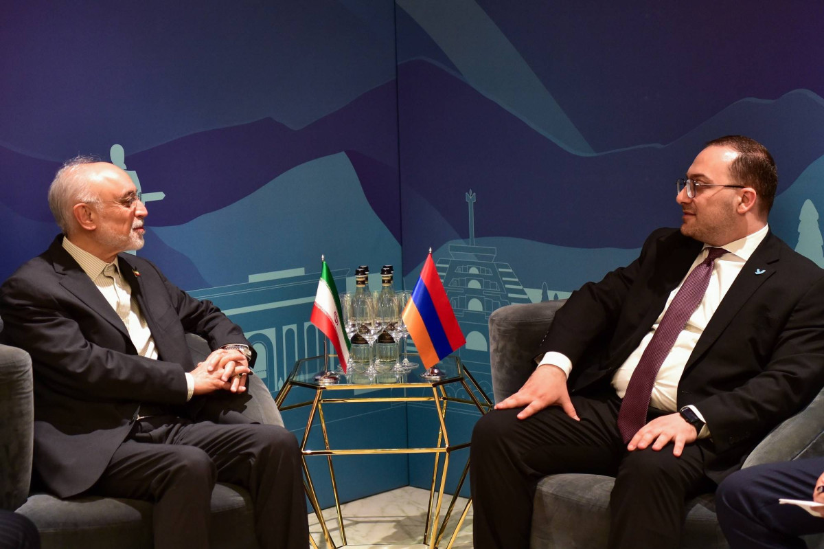 Meeting of Secretary General of MFA of Armenia Davit Karapetyan with Head of 'Foundation for Iranian Studies',  Ali Akbar Salehi