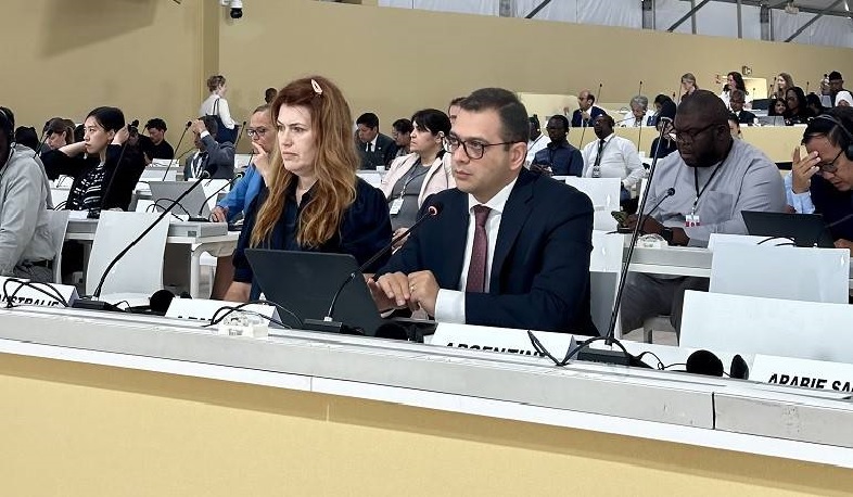 Deputy Foreign Minister presented vision of Armenia for contributing to international efforts in addressing climate change