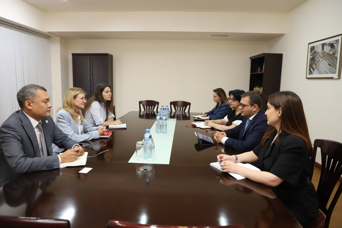 Meeting of Deputy Foreign Minister Robert Abisoghomonyan with Regional Director for Europe and Central Asia of International Labour Organization Beate Andrees