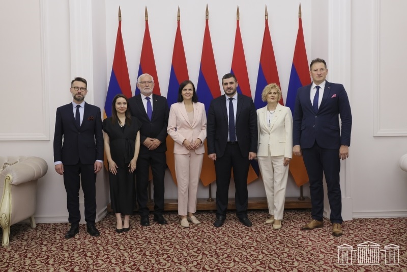 Delegation led by Head of Poland-Armenia Friendship Group hosted in NA Committee on European Integration