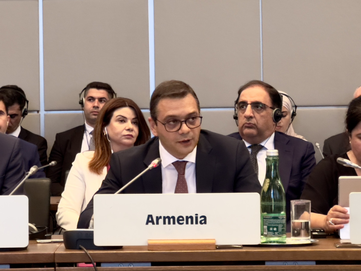 Ռոբերտ Աբիսողոմոնյանը մասնակցել և ելույթով հանդես է եկել ԵԱՀԿ Անվտանգության վերանայման տարեկան համաժողովին