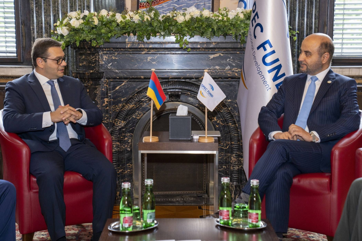 Meeting of Deputy Foreign Minister of Armenia with President of OPEC Fund for International Development