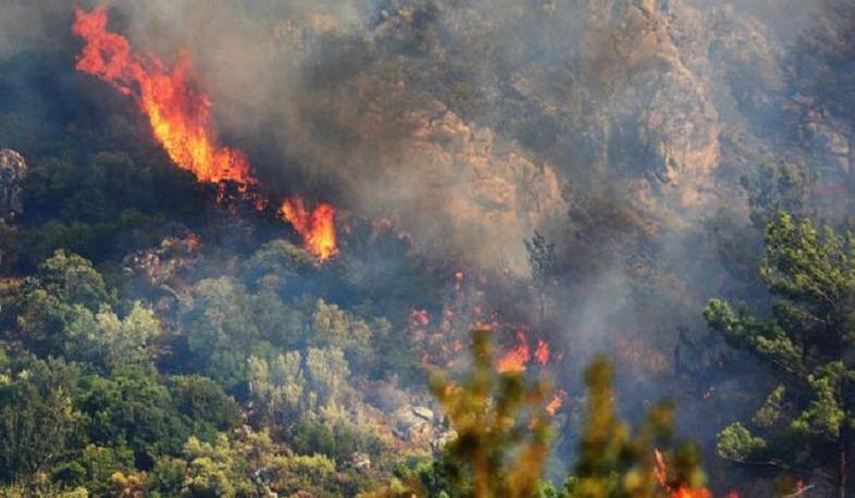 455 families evacuated due to forest fire in Izmir, Turkey