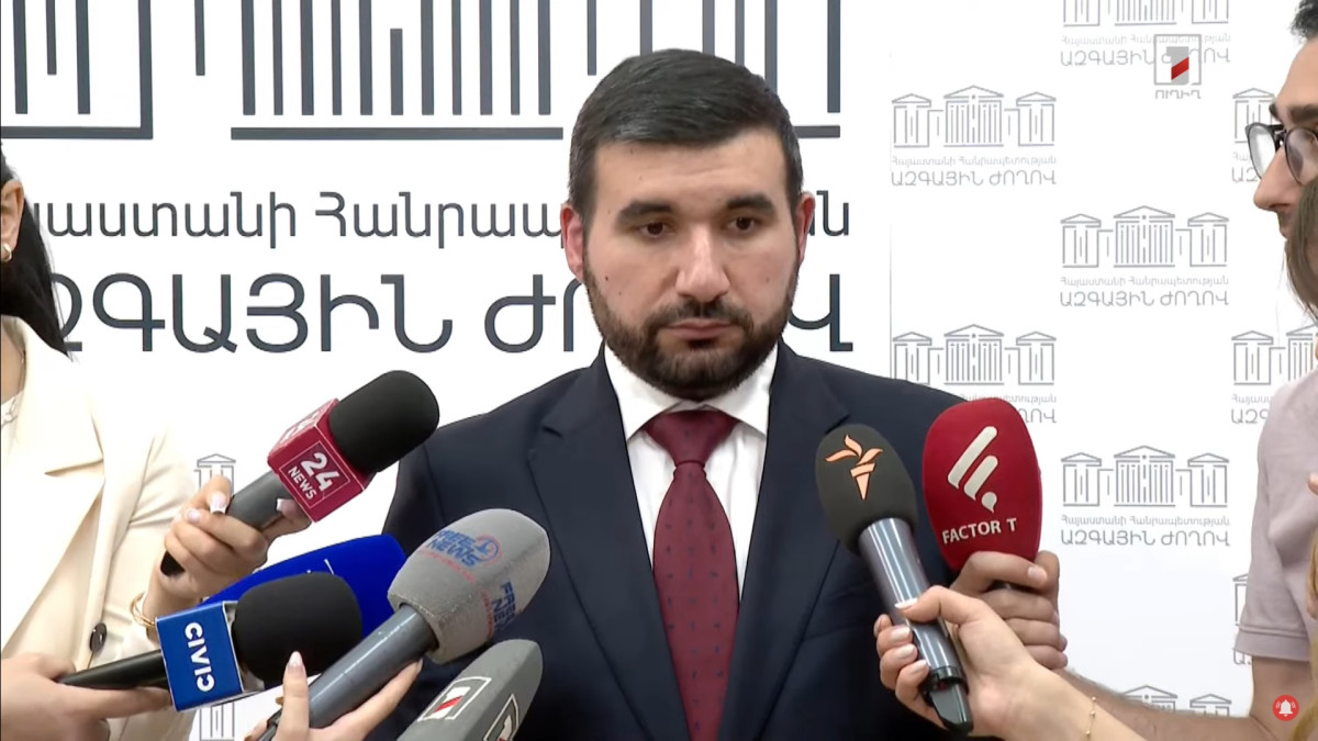ՀԷՑ-ի պետականացումը նոր նախաձեռնությամբ պետք է իրականացնենք. Ալեքսանյան