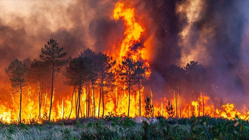 France battles largest wildfire in decades, one person killed