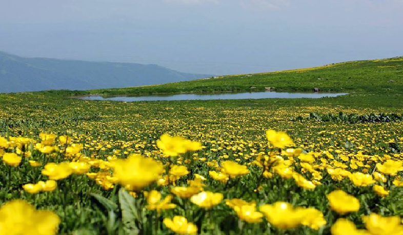 Ջերմաստիճանը օգոստոսի 8-11-ի գիշերը աստիճանաբար կնվազի 4-6, 9-11-ի ցերեկը՝ 2-4 աստիճանով