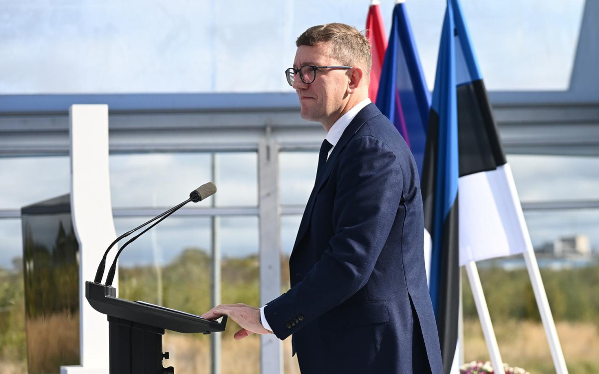 Эстония планирует создать «стену» против беспилотников к концу 2027 года: Михал