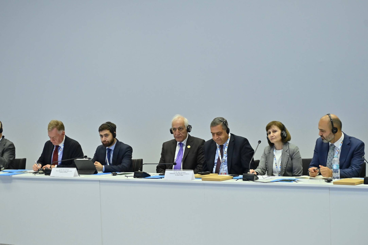 Հայաստանի տեսլականն է COP17-ը դարձնել իսկապես ներառական, մասնակցային և գործողություններին միտված համաժողով. ՀՀ ԱԳ փոխնախարար