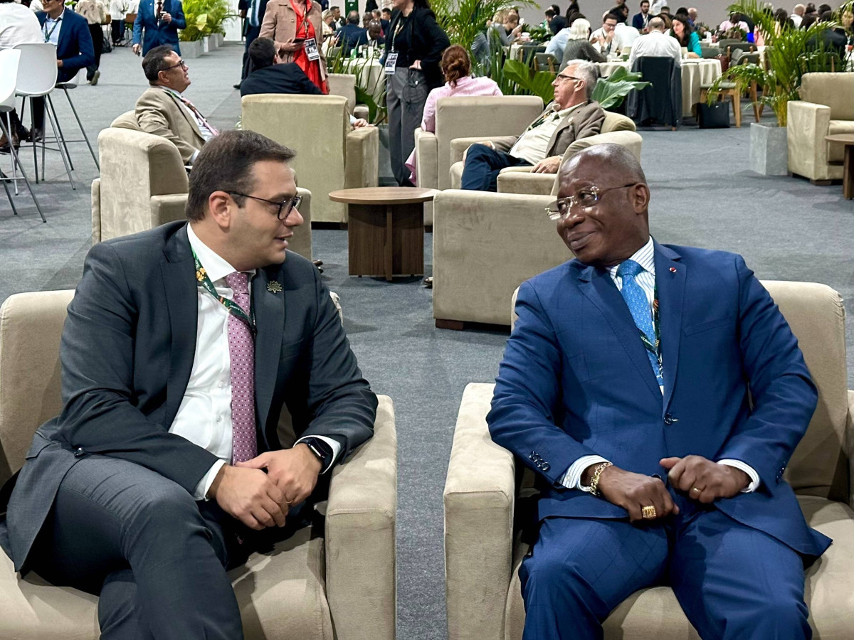 Meeting of Deputy Foreign Minister of Armenia Robert Abisoghomonyan with Minister of Foreign Affairs of Côte d’Ivoire Kacou Houadja Léon Adom