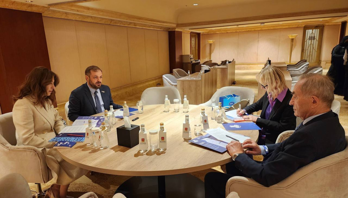 Հայաստանը մեծապես կարևորում է Սևծովյան տնտեսական համագործակցության կազմակերպության շրջանակներում համագործակցությունը. Պապոյան