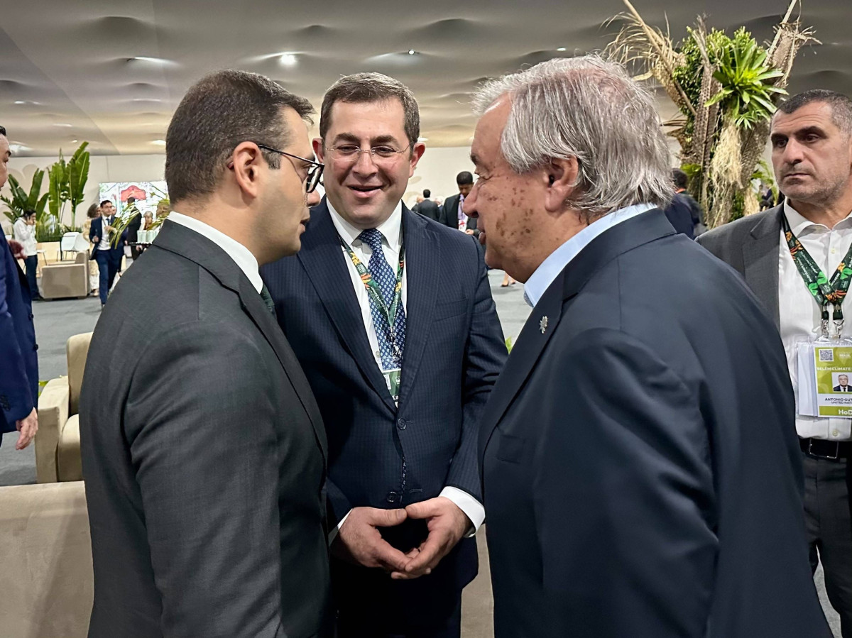 Participation of Deputy Foreign Minister of Armenia Robert Abisoghomonyan in the Belém Climate Summit