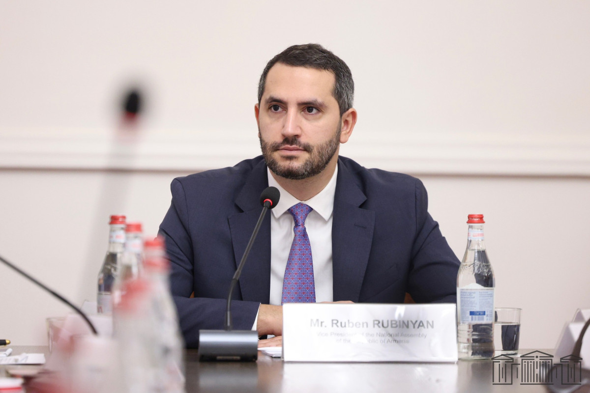 ՀՀ ԱԺ փոխնախագահը հանդիպել է ՀՀ-ում հավատարմագրված ԵՄ անդամ երկրների դեսպանների հետ