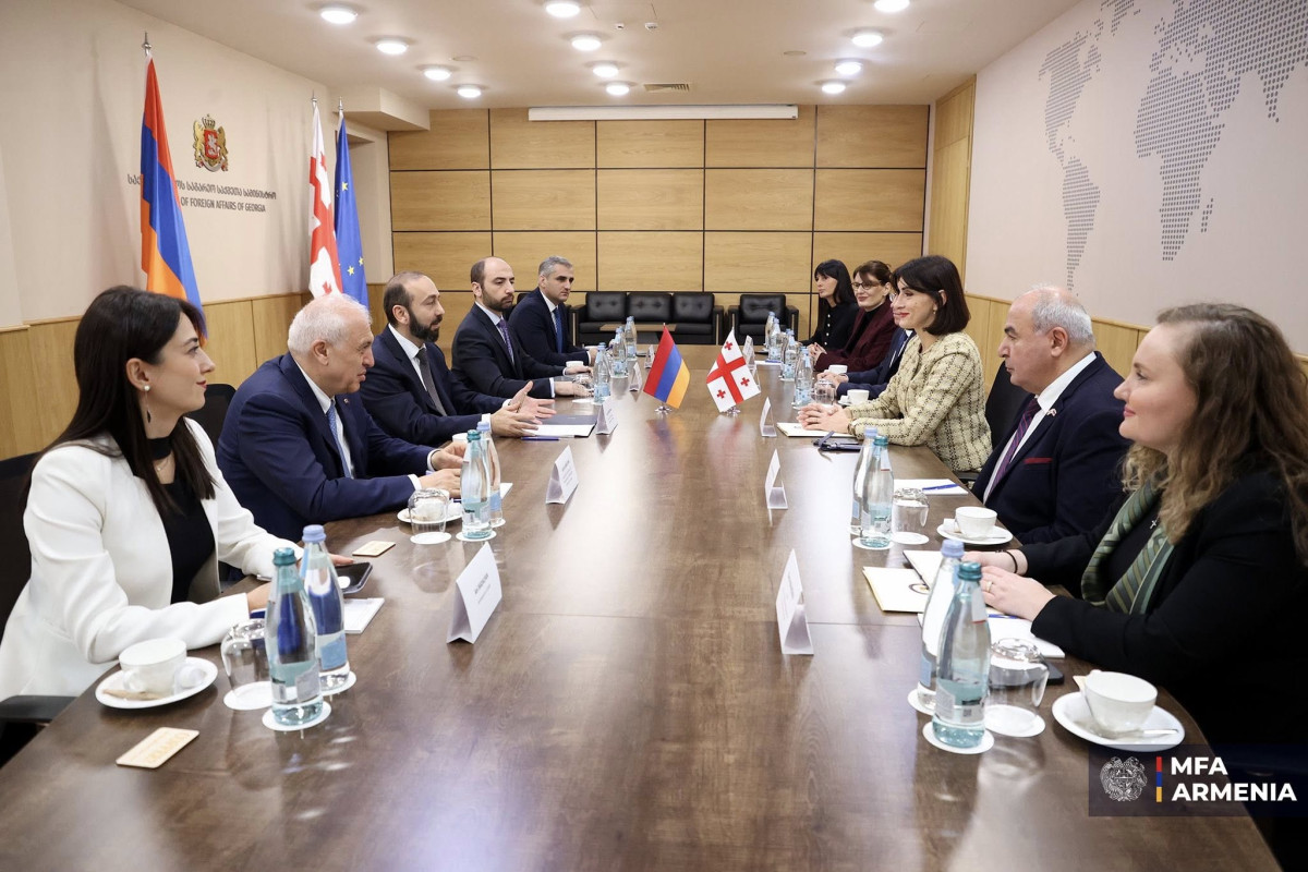 Interconnection between our countries is needed more than ever today: Mirzoyan in Georgia