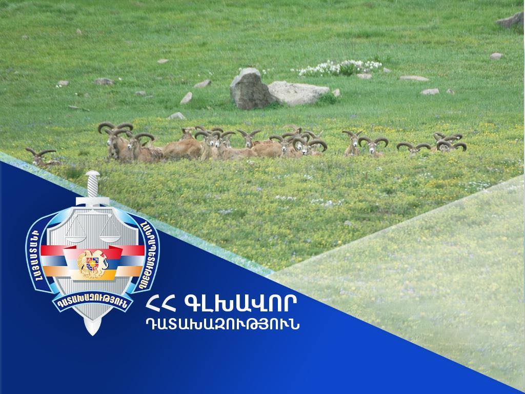 ՀՀ սեփականության իրավունքն է վերականգնվել 13 268 հեկտար մակերեսով հողատարածքի նկատմամբ