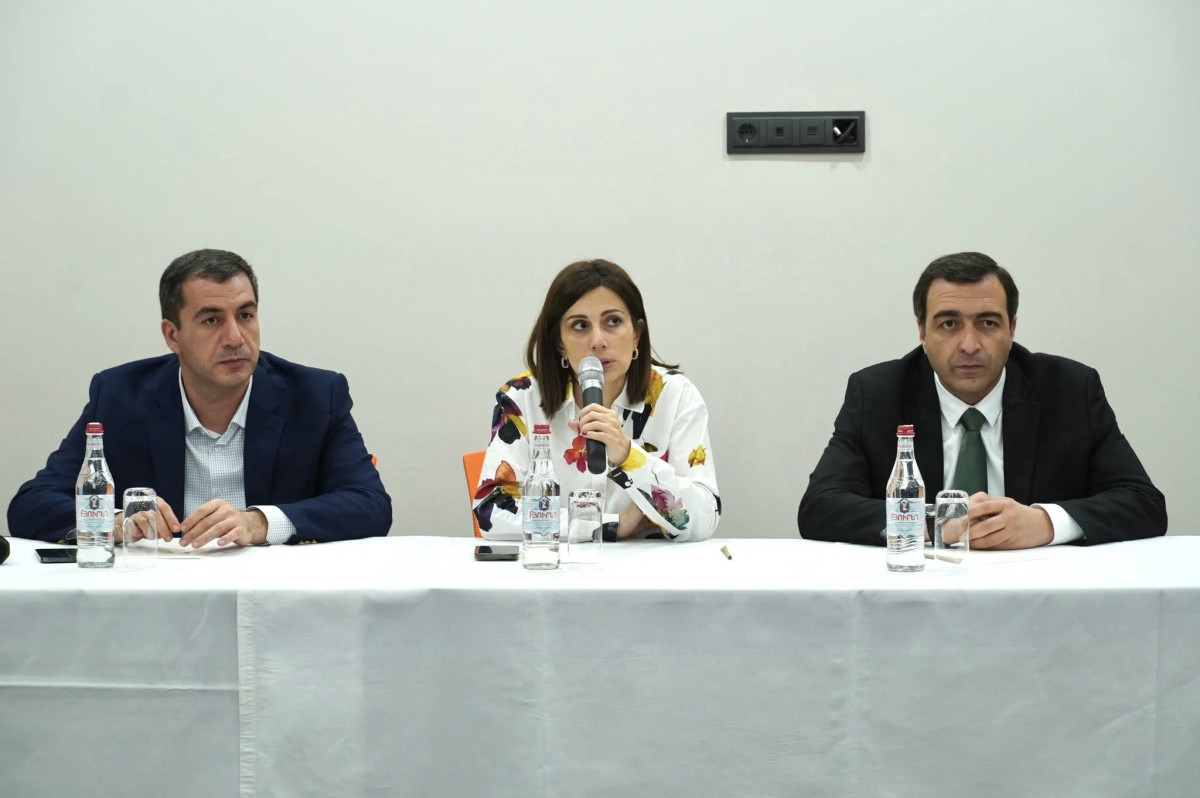 Առողջության համընդհանուր ապահովագրության ներդրմանն ընդառաջ Անահիտ Ավանեսյանը շարունակում է հանդիպումները