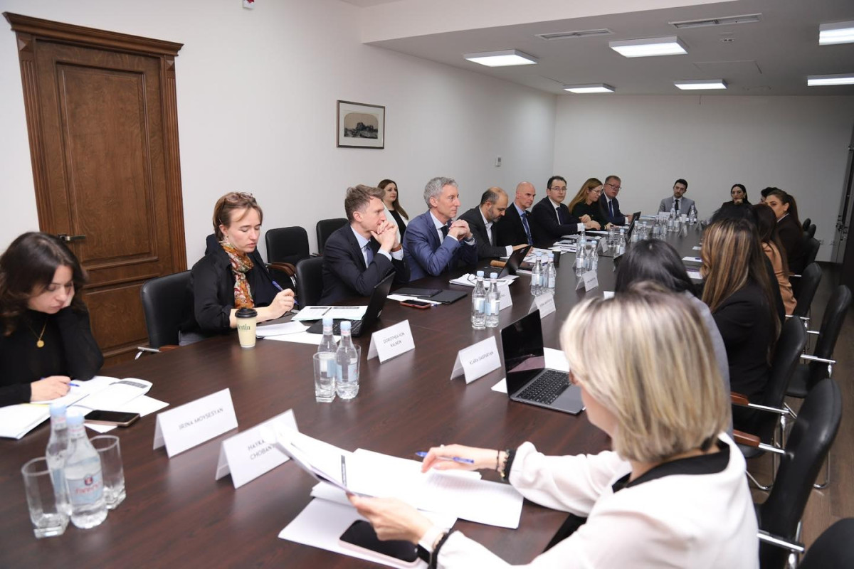 Աննա Կարապետյանը ընդունել է Վիզաների ազատականացման գործողությունների ծրագրի կատարողականի գնահատման ԵՄ առաջին առաքելությանը