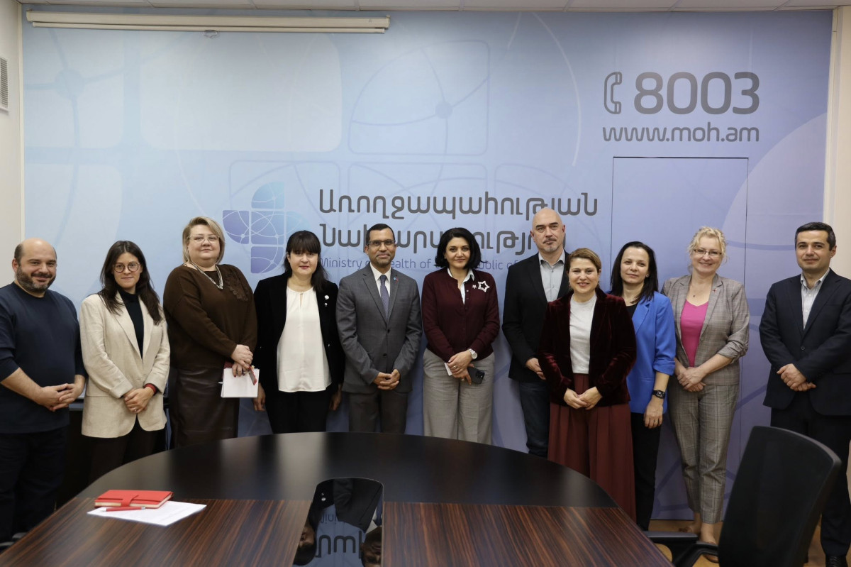 Լենա Նանուշյանը ԱՀԿ փորձագիտական խմբի հետ քննարկել է ՄԻԱՎ-ի թեստավորման, բուժման և վերահսկման խնդիրները