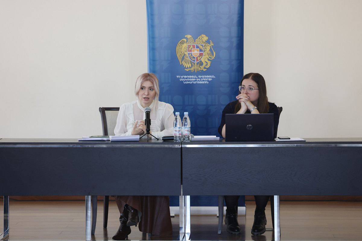 Քննարկվել են «Արհեստական բանականությունը՝ ուսուցչի օգնական գործիք» բազային դասընթացի ծրագրին վերաբերող հարցեր