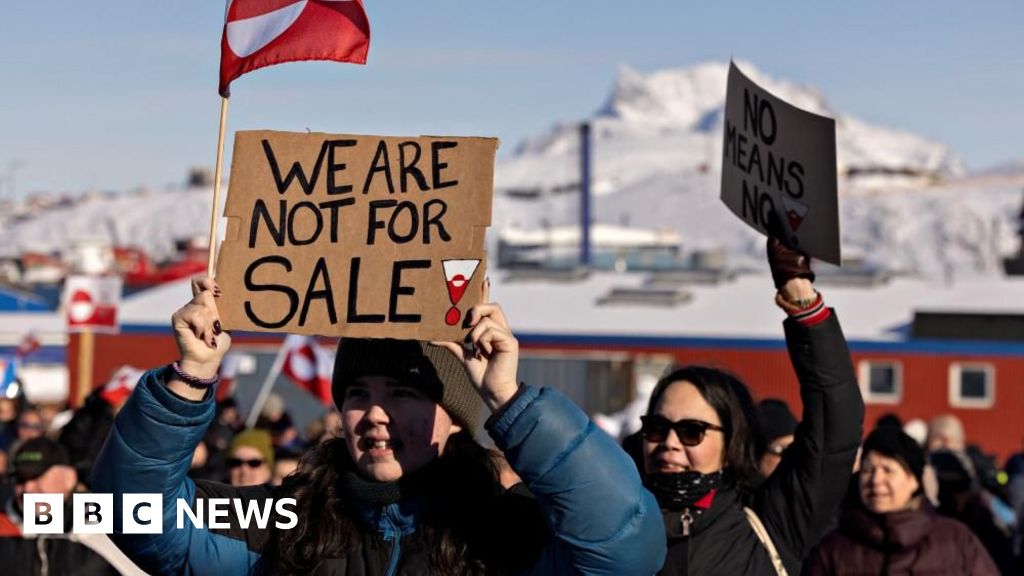US plans to buy Greenland from Denmark: media